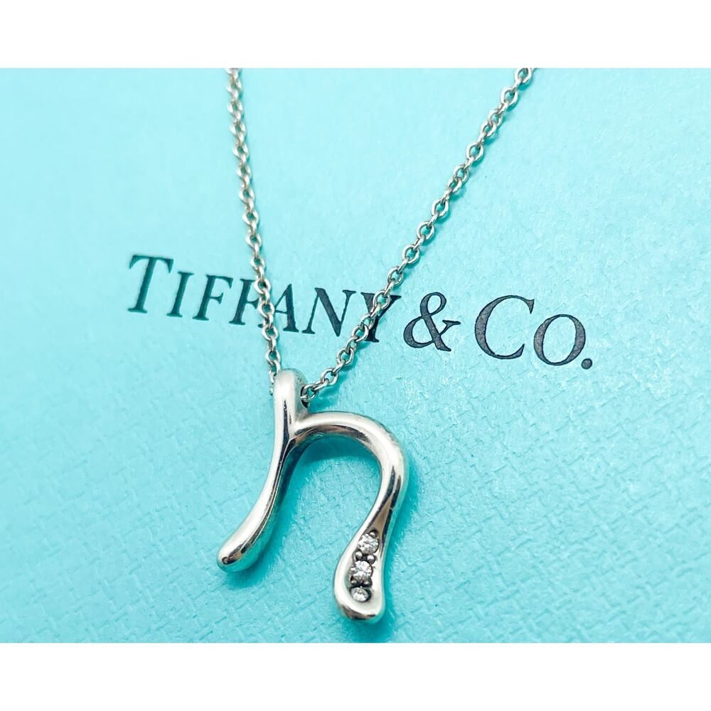 Tiffany & Co Peretti Initial Letter N Diamond Pendant Necklace Silver 18"